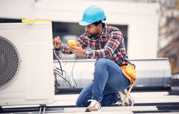 Best Electric Panel Repair  in Lake Holiday, VA